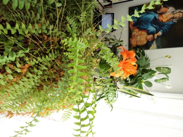 Jardins suspensos do Vavá