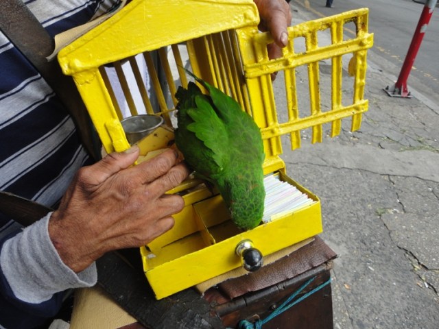 realejo3a Valdo Resende