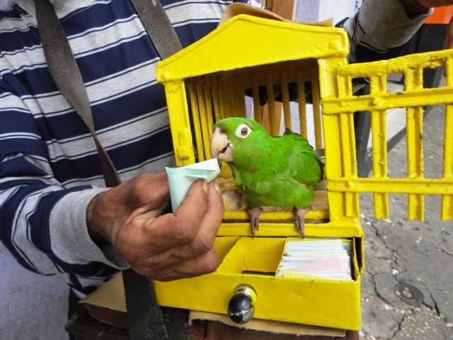 realejo3b Valdo Resende