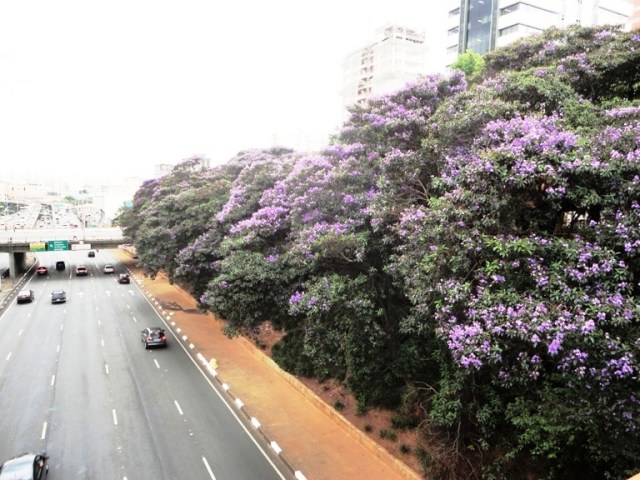 Bairro Liberdade, São Paulo, Valdo Resende