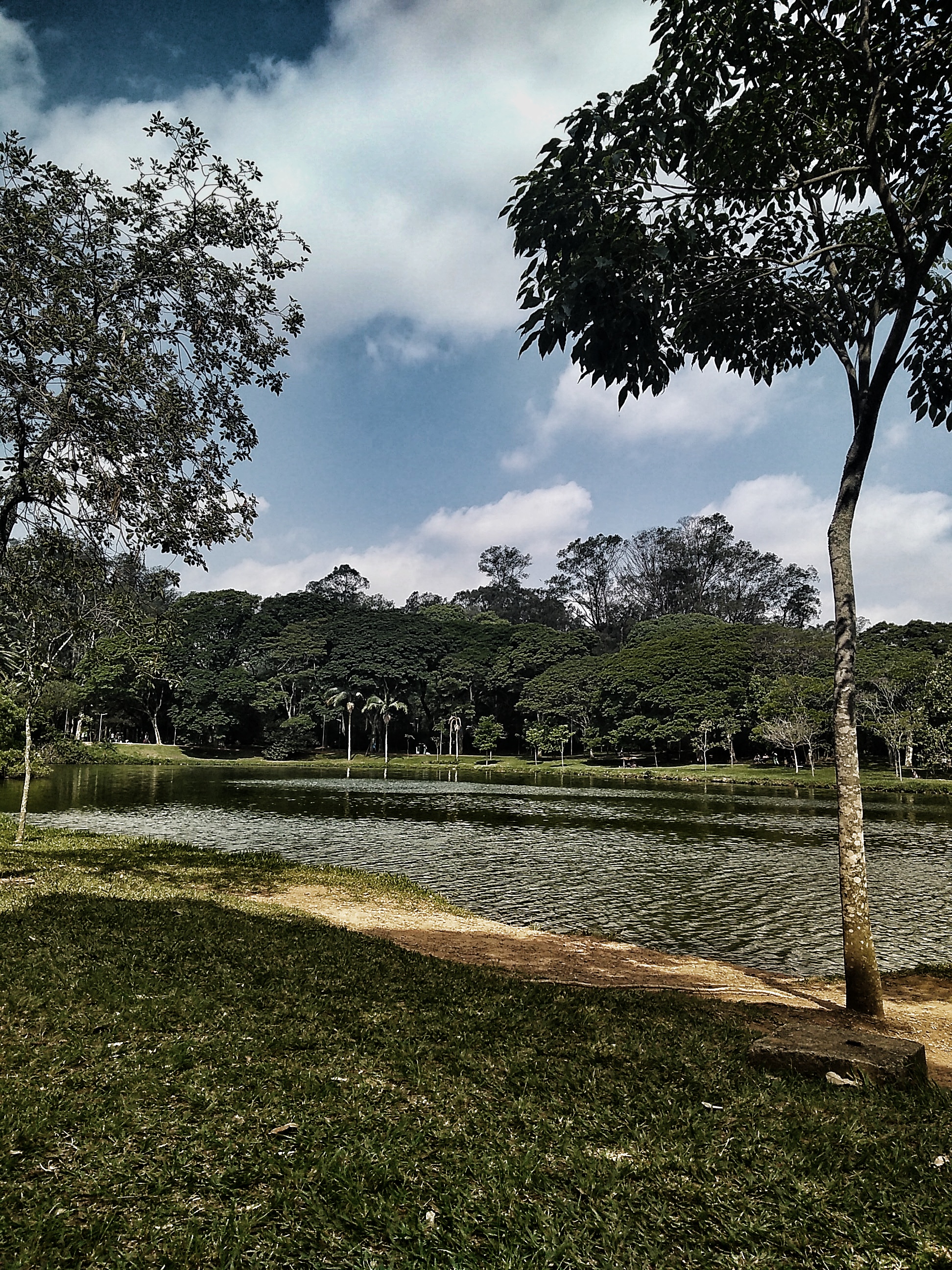 paisagem ibirapuera.jpeg