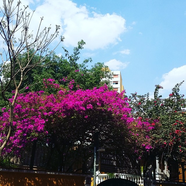 IMG_20170917_134917_387